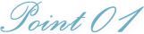 Point 01